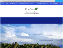 Tablet Screenshot of budproinfo.com